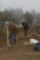 plantation chez Jean-Michel Lejeanne