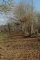 plantation chez Jean-Michel Lejeanne