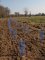 Plantation chez Jean-Michel Lejeanne
