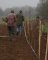 plantation chez Jean-Michel Lejeanne
